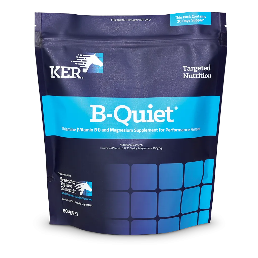 B-Quiet Powder