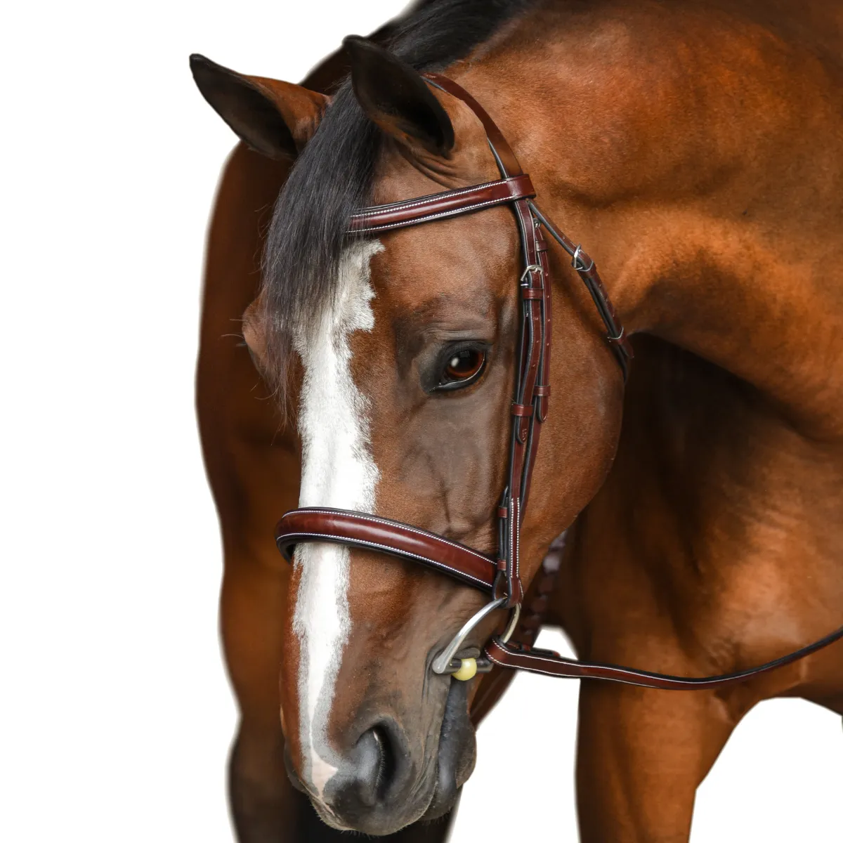 KL Select Italia 'Del Mar' Bridle in Brown - O/S