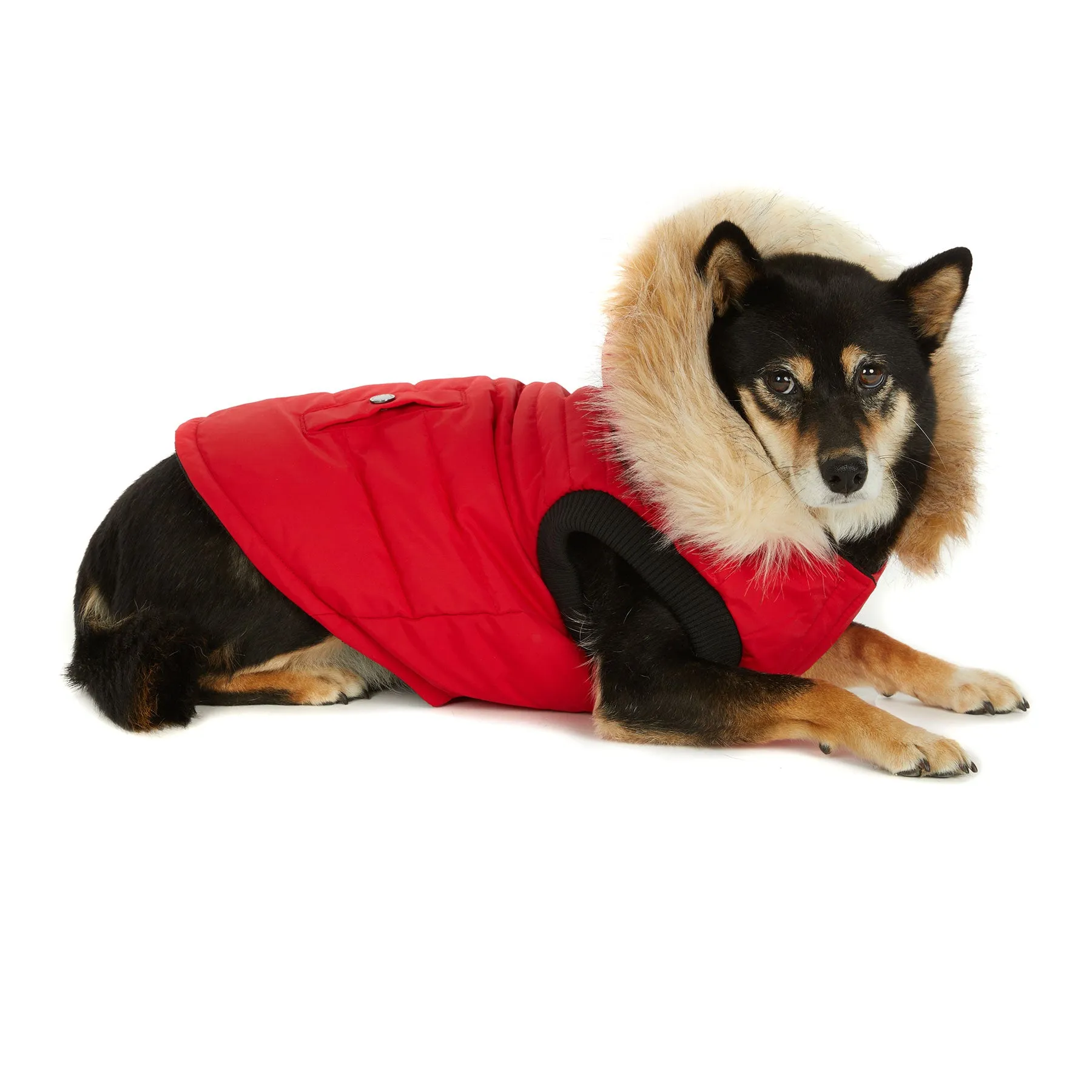 Toby Jacket for Dogs