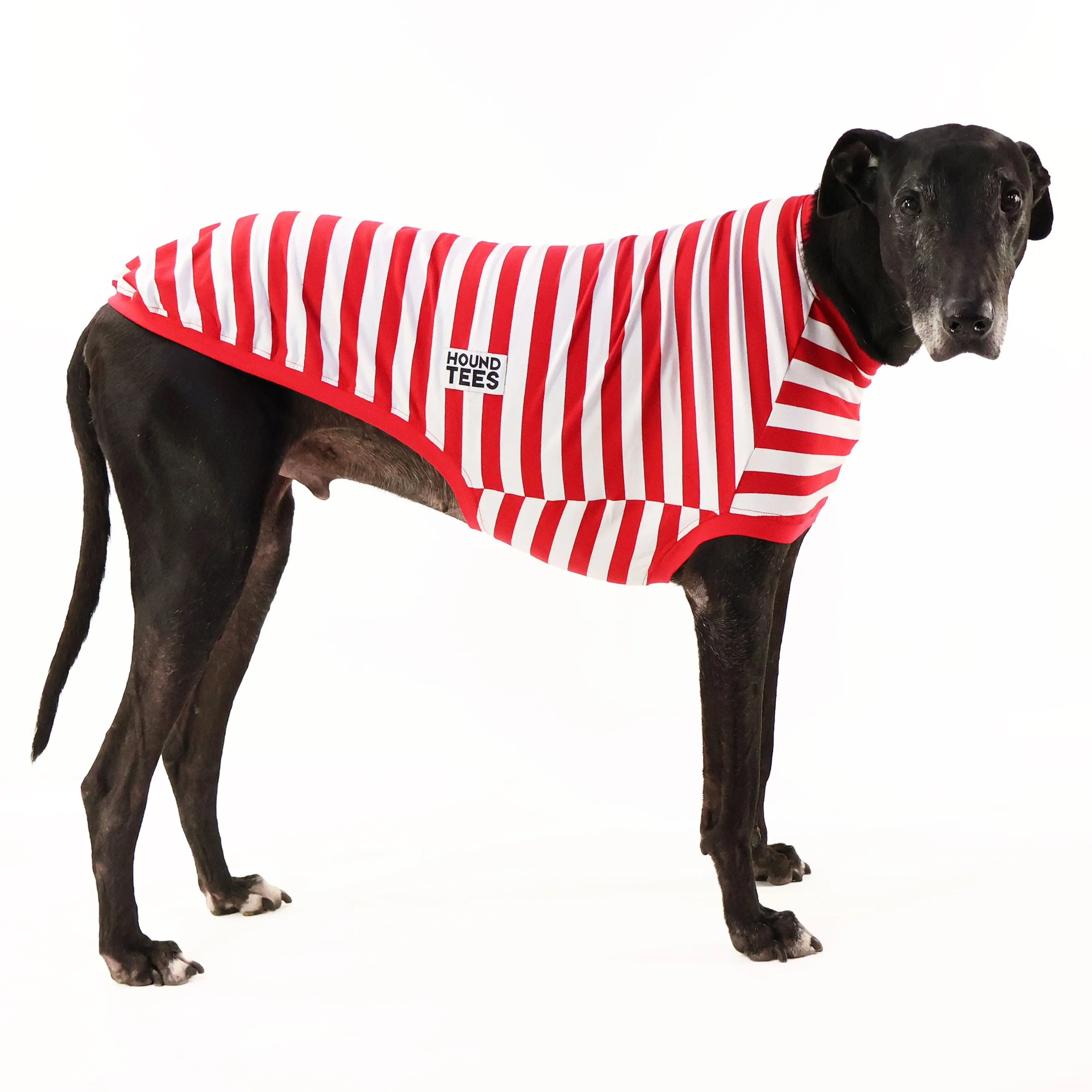 Wally Greyhound Sleeveless Hound-Tee